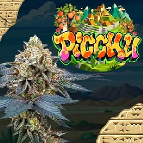 Picchu > Perfect Tree